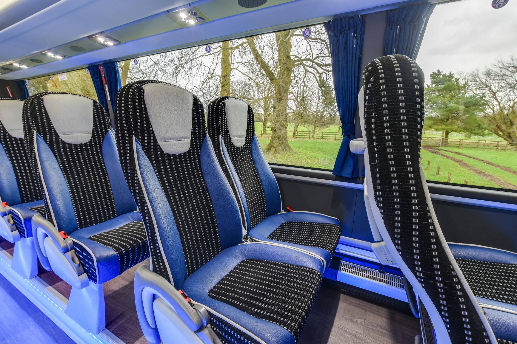 Executive coach