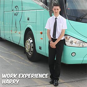 Work Experience - Harry