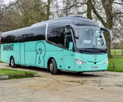Executive coach